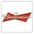 Budweiser Beer